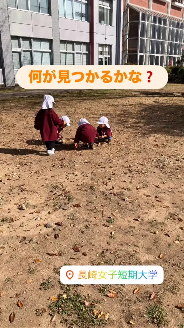#長崎女子短期大学附属幼稚園 #子育て支援 
#幼稚園 #長崎市 #長崎市幼稚園 
#のびのびクラス #2歳児クラス #少人数クラス 
#幼稚園の日常 #お散歩
#ひとりひとりをぎゅっと抱きしめる保育 

明日から寒くなるとの予報‥今日は日の光が当たるところは暖かく、穏やかでした😊
すすきやどんぐり、落ち葉など‥秋を感じられるものも発見！
いよいよ冬がきますね💦

最後はおまけ❤️
大きな段ボールをお部屋に置くと順番に入っていました笑